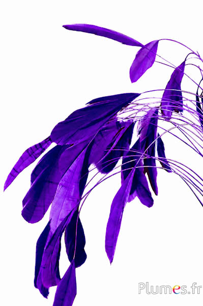 Coquetips - 13-18 cm - aubergine